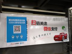 -上海植物园·停车场