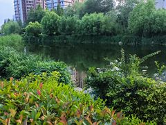 -丁家河公园