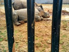 -泉州海丝野生动物世界