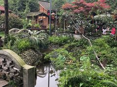 -青城甲(青城山店)