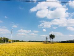 -嘉北郊野公园
