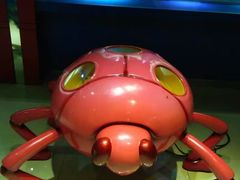 -上海昆虫博物馆