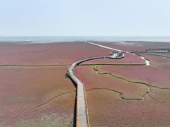 -红海滩国家风景廊道