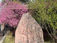 -金鸡湖桃花岛