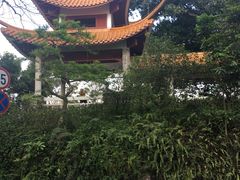 -深圳仙湖植物园