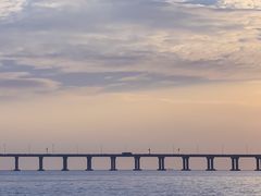 -宝安西湾红树林湿地公园