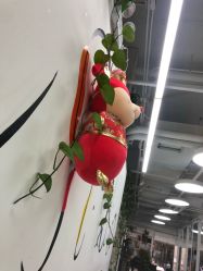 -MyStudio形象管理中心