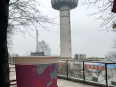 -茶颜悦色(岳麓山顶店)