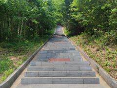 -冶父山国家森林公园