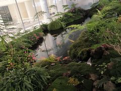 -罗红摄影艺术馆