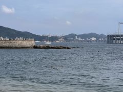 -黑石礁公园
