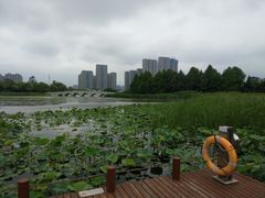 -苏州东太湖生态园