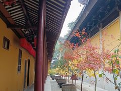 -灵岩山风景区