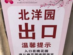 -桃花堤公园