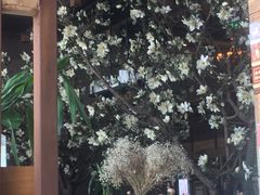 大堂-山有花啡餐厅(常营总店)