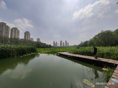 -前关湿地公园