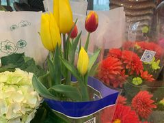-双季花艺园艺市场(浦东店)