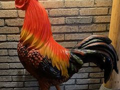 -头上红煨盐鸡乡村食府