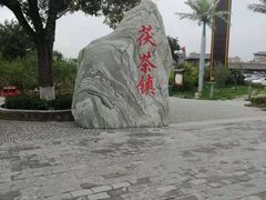 -茯茶镇