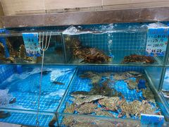 -良师门滨海人家·海鲜·家常菜(滨海城店)