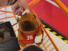 -可爱抓 COCO  GOTCHA(天津鹏欣水游城店)