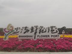 -上海鲜花港