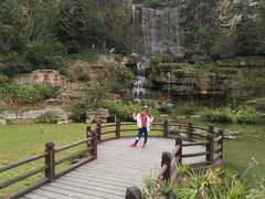 -铁山坪森林公园