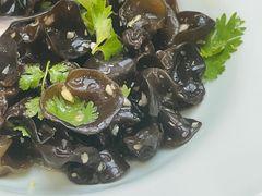 -洞庭家宴·头牌甲鱼(广渠门店)
