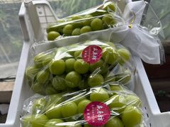 -马陆小张葡萄园农家乐