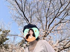 -桃花堤公园