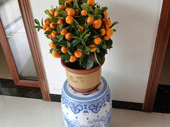 -广州莲花山旅游区