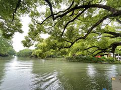 -西溪国家湿地公园