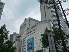 -乐天免税店(明洞店)