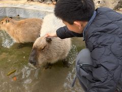 -合肥野生动物园