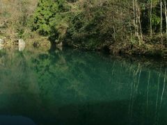 android_upload_pic-杭州天目山静雅居农家乐