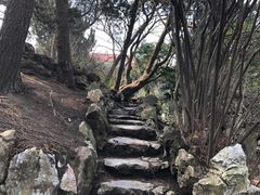-叶家花园