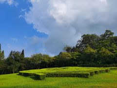 -广州市白云山风景名胜区