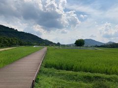 -艾米稻香小镇