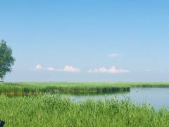-黑龙江扎龙生态旅游区