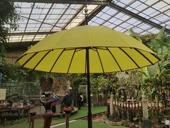 -呀路古热带植物园