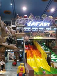 -卡通尼·Safari非洲探索乐园·生日会(金桥国际商业广场店)