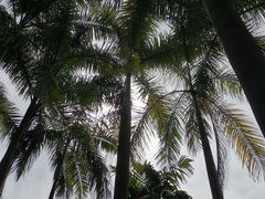 -滴水岩森林公园