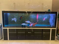 -悦融琥珀·京鲁菜·海味珍品(西单店)