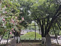 -武侯墓风景区