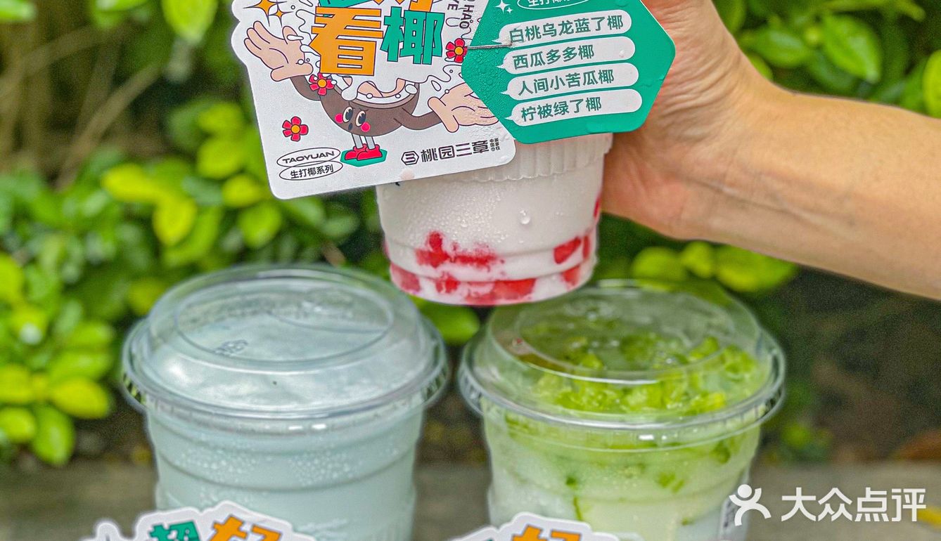 家人们❗桃园三章的初夏👒新品真的超好看椰🥥