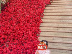 -南京时尚莱迪购物广场(正洪街店)