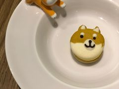 -柴务处·柴犬主题狗咖