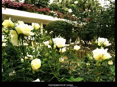 -人民公园(罗湖区)