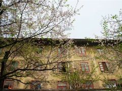 -武汉大学-樱园