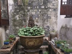 -月栖华明-云间草堂清茶馆(泗泾古镇店)